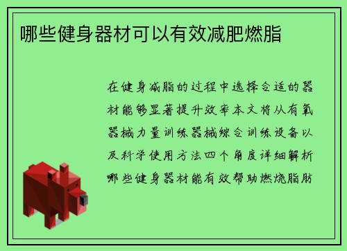 哪些健身器材可以有效减肥燃脂